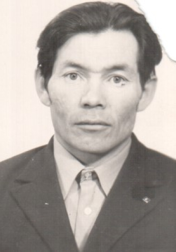 БОРИСОВ Василий Николаевич (1935 г.)