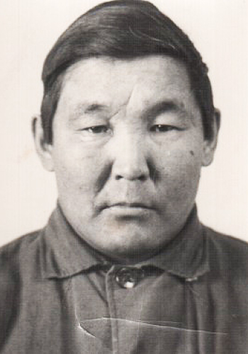 ДАВЫДОВ Андрей Афанасьевич (1933 г.)